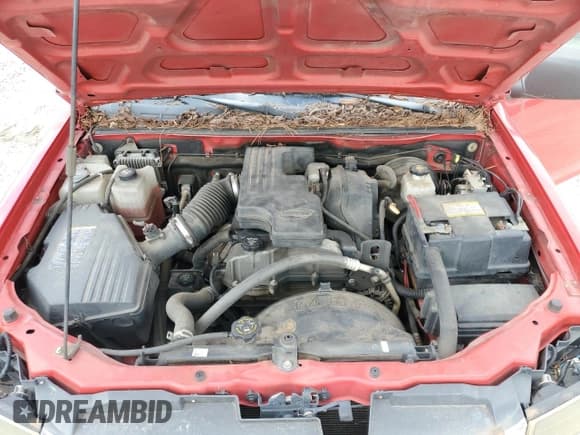 ✅ 2007 GMC Canyon • VIN: 1GTDS199578196354 • Lot: 68588945. Listed on Copart with 172,375 mi. Free auction sales archive from the USA and detailed vehicle history report at DreamBid. Image 11.