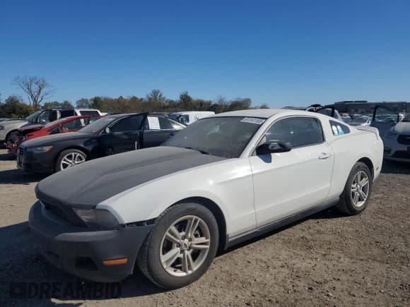 ✅ 2011 Ford Mustang V6 • VIN: 1ZVBP8AM3B5141426 • Lot: 91141185. Listed on Copart with 140,234 mi. Free auction sales archive from the USA and detailed vehicle history report at DreamBid. Image 1.