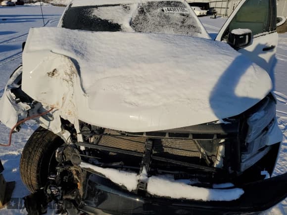 ✅ 2022 Chevrolet Silverado 1500 LT Trail Boss • VIN: 1GCPYFEL7NZ167567 • Lot: 44303105. Wystawiony na Copart z przebiegiem 23 992 mil. Bezpłatny archiwum sprzedaży aukcyjnych z USA i szczegółowy raport historii pojazdu na DreamBid. Zdjęcie 11.