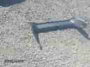 2009 Chevrolet Impala LT z VIN 2G1WT57N591221121, wystawiony jako IAAI lot #43326677 z przebiegiem 79 402 mil mil oraz . Historia ofert i sprzedaży dostępna na DreamBid. Obrazek 12.