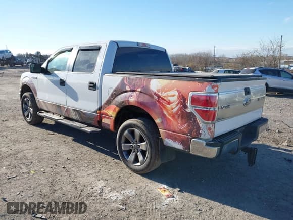 ✅ 2011 Ford F-150 XLT • VIN: 1FTFW1EF0BFB11059 • Lot: 43905361. Listed on IAAI with 290,277 mi. Free auction sales archive from the USA and detailed vehicle history report at DreamBid. Image 3.