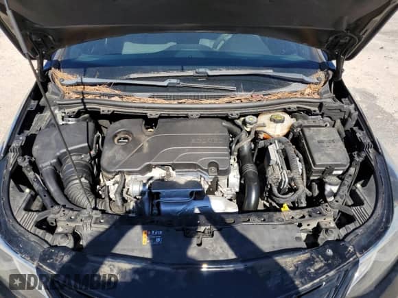 2018 Chevrolet Cruze LT с VIN 1G1BE5SM5J7221487, выставлен на аукционе Copart как лот 87462085 с пробегом 108 808 миль миль и Чистый • Clean title. История ставок и продаж доступна на DreamBid. Изображение 11.