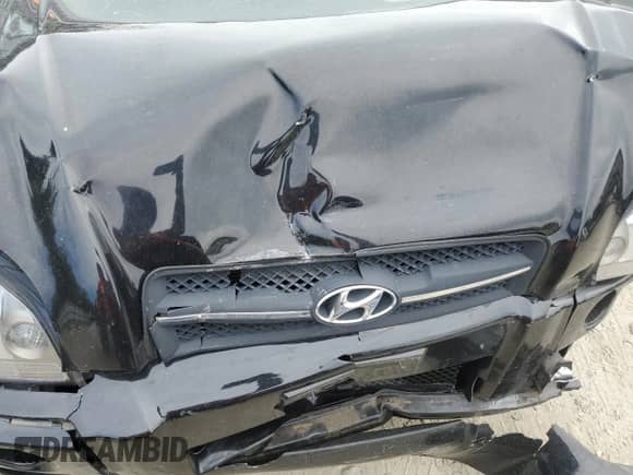 2006 Hyundai Tucson GLS z VIN KM8JN72D16U421074, wystawiony jako Copart lot #76521304 z przebiegiem 120 172 mil mil oraz Szkoda całkowita • Salvage title. Historia ofert i sprzedaży dostępna na DreamBid. Obrazek 12.