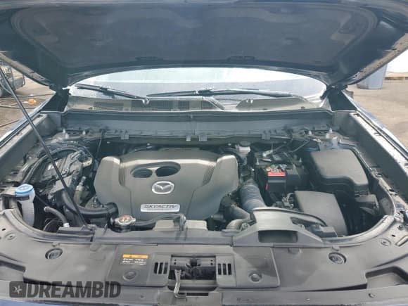 ✅ 2019 Mazda CX-9 Sport • VIN: JM3TCBBY6K0322025 • Лот: 45159805. Опубликован ранее на Copart с пробегом 44 445 миль. Бесплатный доступ к архиву аукционных продаж из США и подробный отчёт об истории автомобиля на DreamBid. Изображение 11.