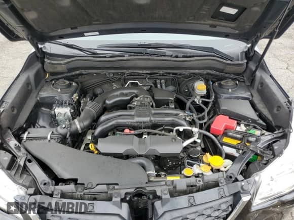 2016 Subaru Forester Limited с VIN JF2SJAHC4GH506485, выставлен на аукционе Copart как лот 82352395 с пробегом 44 423 миль миль и Списание • Salvage title. История ставок и продаж доступна на DreamBid. Изображение 12.