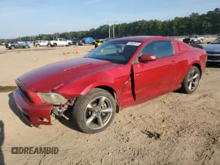✅ 2013 Ford Mustang GT • VIN: 1ZVBP8CF6D5223247 • Lot: 69942815. Listed on Copart with 120,855 mi. Free auction sales archive from the USA and detailed vehicle history report at DreamBid. Image 1.