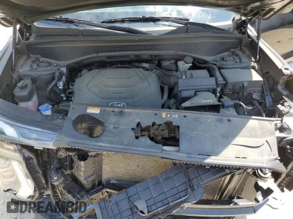 2022 Hyundai Palisade SEL с VIN KM8R4DHE5NU440780, выставлен на аукционе Copart как лот 63481724 с пробегом 44 188 миль миль и Списание • Salvage title. История ставок и продаж доступна на DreamBid. Изображение 13.