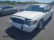 ✅ 2009 Ford Police Interceptor • VIN: 2FAHP71V69X125798 • Lot: 43411351. Wystawiony na IAAI z przebiegiem 131 311 mil. Bezpłatny archiwum sprzedaży aukcyjnych z USA i szczegółowy raport historii pojazdu na DreamBid. Zdjęcie 6.