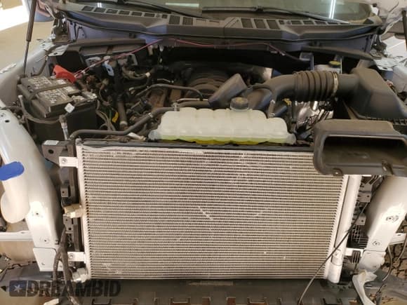 ✅ 2024 Ford F-150 XL • VIN: 1FTFX1L50RKD42861 • Lot: 43064455. Listed on Copart with 3,539 mi. Free auction sales archive from the USA and detailed vehicle history report at DreamBid. Image 11.