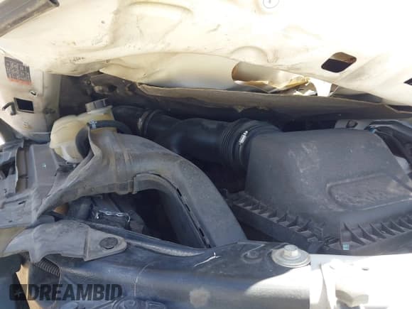 ✅ 2019 Ford F-150 XL • VIN: 1FTFX1E4XKKE41570 • Лот: 42990233. Опубликован ранее на IAAI с пробегом Не указан. Бесплатный доступ к архиву аукционных продаж из США и подробный отчёт об истории автомобиля на DreamBid. Изображение 10.