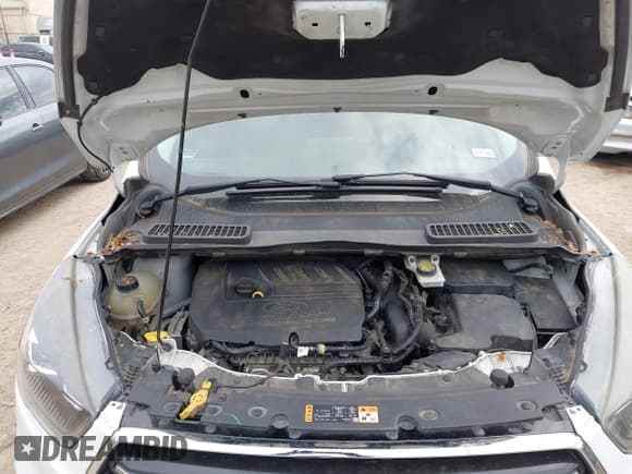 ✅ 2017 Ford Escape SE • VIN: 1FMCU0GD5HUA13448 • Лот: 43810462. Опубликован ранее на IAAI с пробегом 124 017 миль. Бесплатный доступ к архиву аукционных продаж из США и подробный отчёт об истории автомобиля на DreamBid. Изображение 10.