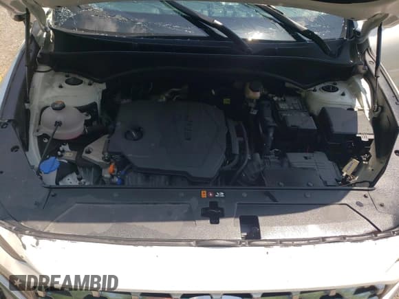 ✅ 2023 Hyundai Santa Fe SEL • VIN: 5NMS3DAJ4PH484845 • Lot: 59569583. Wystawiony na Copart z przebiegiem 13 881 mil. Bezpłatny archiwum sprzedaży aukcyjnych z USA i szczegółowy raport historii pojazdu na DreamBid. Zdjęcie 12.