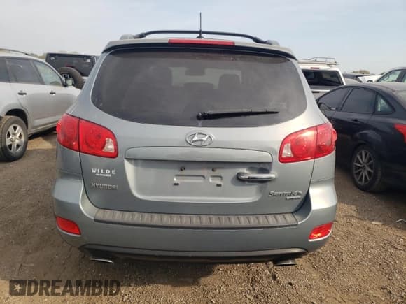 ✅ 2007 Hyundai Santa Fe SE • VIN: 5NMSH13E67H117798 • Lot: 75110004. Listed on Copart with 133,834 mi. Free auction sales archive from the USA and detailed vehicle history report at DreamBid. Image 6.