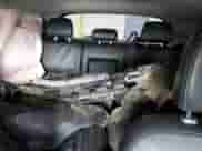 2017 Mitsubishi Outlander SEL с VIN JA4AP4AW3HZ021145, выставлен на аукционе Copart как лот 42053615 с пробегом 153 758 миль миль и Списание • Salvage title. История ставок и продаж доступна на DreamBid. Изображение 10.