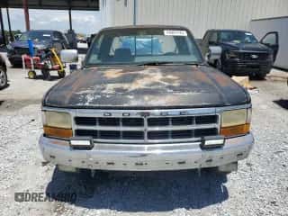 1996 Dodge Dakota z VIN 1B7GL23X6TS508007, wystawiony jako Copart lot #64087425 z przebiegiem 116 318 mil mil oraz Szkoda całkowita • Salvage title. Historia ofert i sprzedaży dostępna na DreamBid. Obrazek 5.