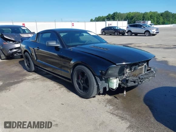 ✅ 2009 Ford Mustang GT • VIN: 1ZVHT82H195145878 • Лот: 42303694. Опубликован ранее на IAAI с пробегом 164 789 миль. Бесплатный доступ к архиву аукционных продаж из США и подробный отчёт об истории автомобиля на DreamBid. Изображение 1.