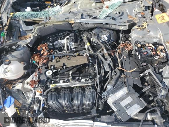 ✅ 2024 Hyundai Santa Cruz SEL • VIN: 5NTJC4DE8RH115570 • Лот: 66684675. Опубликован ранее на Copart с пробегом Не указан. Бесплатный доступ к архиву аукционных продаж из США и подробный отчёт об истории автомобиля на DreamBid. Изображение 11.