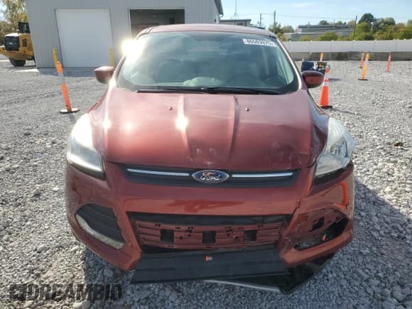 ✅ 2014 Ford Escape SE • VIN: 1FMCU9GX7EUE34775 • Лот: 86503975. Опубликован ранее на Copart с пробегом 66 767 миль. Бесплатный доступ к архиву аукционных продаж из США и подробный отчёт об истории автомобиля на DreamBid. Изображение 5.