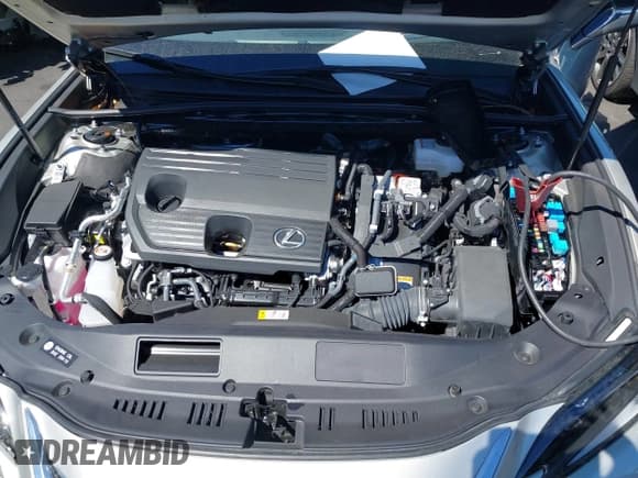 ✅ 2024 Lexus ES 300h Luxury • VIN: 58AEA1C17RU049851 • Lot: 43159025. Listed on IAAI with 3,473 mi. Free auction sales archive from the USA and detailed vehicle history report at DreamBid. Image 10.