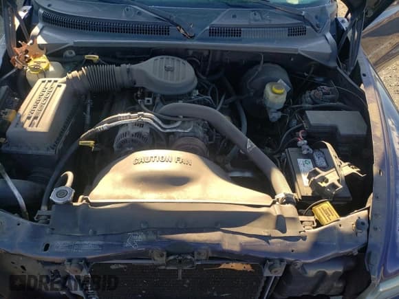 ✅ 1999 Dodge Dakota SLT • VIN: 1B7GL22X6XS292442 • Lot: 82855824. Wystawiony na Copart z przebiegiem 188 027 mil. Bezpłatny archiwum sprzedaży aukcyjnych z USA i szczegółowy raport historii pojazdu na DreamBid. Zdjęcie 11.