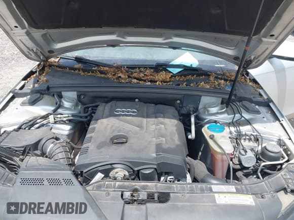 ✅ 2011 Audi A4 Premium • VIN: WAUBFAFLXBN019981 • Лот: 43049315. Опубликован ранее на IAAI с пробегом 178 736 миль. Бесплатный доступ к архиву аукционных продаж из США и подробный отчёт об истории автомобиля на DreamBid. Изображение 10.