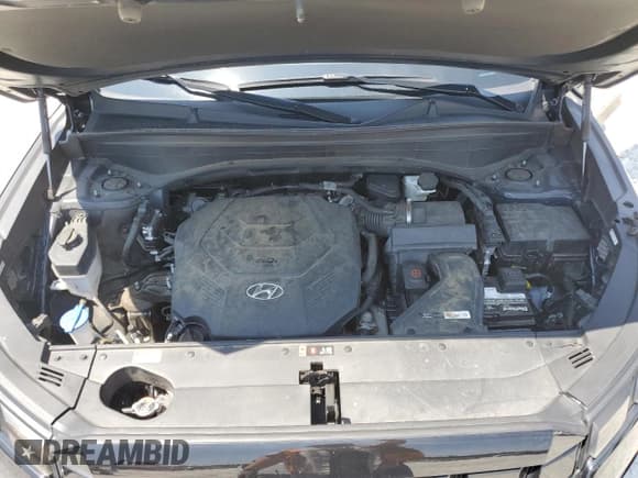 ✅ 2023 Hyundai Palisade SEL • VIN: KM8R4DGE4PU626105 • Lot: 62506315. Listed on Copart with 113,672 mi. Free auction sales archive from the USA and detailed vehicle history report at DreamBid. Image 12.