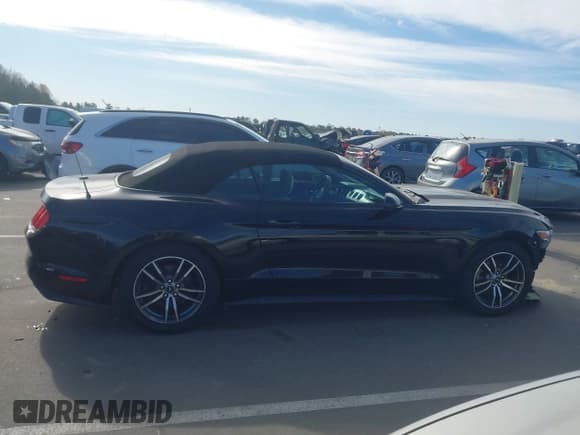 ✅ 2017 Ford Mustang EcoBoost Premium • VIN: 1FATP8UHXH5258313 • Lot: 43663800. Wystawiony na IAAI z przebiegiem 112 620 mil. Bezpłatny archiwum sprzedaży aukcyjnych z USA i szczegółowy raport historii pojazdu na DreamBid. Zdjęcie 14.