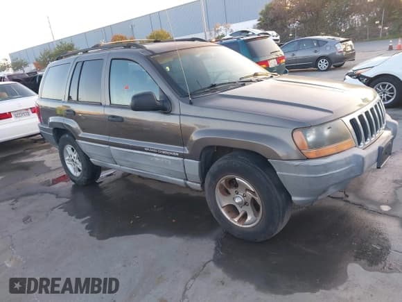 ✅ 1999 Jeep Grand Cherokee Laredo • VIN: 1J4G258S3XC560920 • Lot: 43885427. Listed on IAAI with 176,308 mi. Free auction sales archive from the USA and detailed vehicle history report at DreamBid. Image 1.
