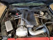 ✅ 2017 Ford Mustang GT • VIN: 1FA6P8CF6H5263442 • Lot: 71902295. Listed on Copart with 47,462 mi. Free auction sales archive from the USA and detailed vehicle history report at DreamBid. Image 11.