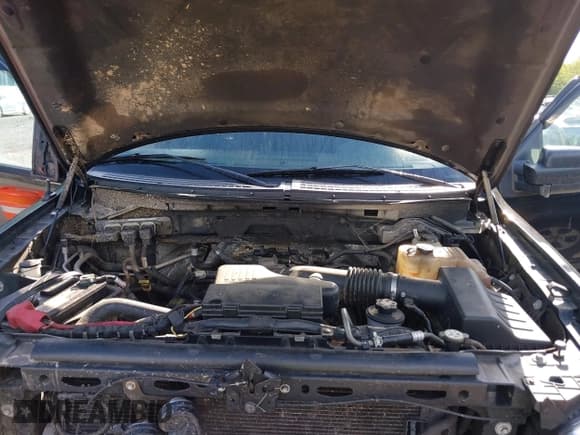 ✅ 2010 Ford F-150 XL • VIN: 1FTEX1EW2AFA18163 • Lot: 42295077. Listed on IAAI with 217,430 mi. Free auction sales archive from the USA and detailed vehicle history report at DreamBid. Image 10.