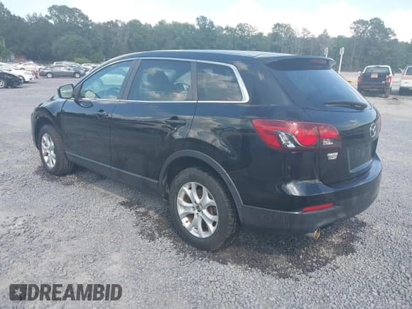 ✅ 2013 Mazda CX-9 Sport • VIN: JM3TB2BA1D0416354 • Lot: 42848045. Wystawiony na IAAI z przebiegiem 153 470 mil. Bezpłatny archiwum sprzedaży aukcyjnych z USA i szczegółowy raport historii pojazdu na DreamBid. Zdjęcie 3.