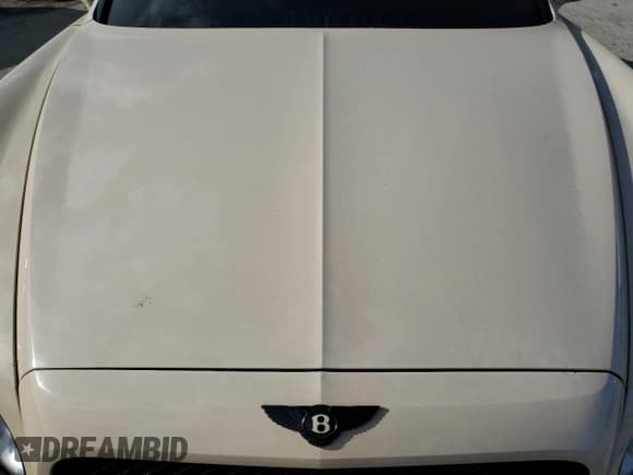 ✅ 2014 Bentley Flying Spur • VIN: SCBEC9ZA5EC089716 • Lot: 70884943. Wystawiony na Copart z przebiegiem Nie podano. Bezpłatny archiwum sprzedaży aukcyjnych z USA i szczegółowy raport historii pojazdu na DreamBid. Zdjęcie 11.