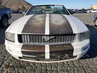 ✅ 2006 Ford Mustang Standard • VIN: 1ZVFT84N965166354 • Lot: 92284575. Wystawiony na Copart z przebiegiem 186 021 mil. Bezpłatny archiwum sprzedaży aukcyjnych z USA i szczegółowy raport historii pojazdu na DreamBid. Zdjęcie 5.