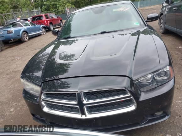 ✅ 2014 Dodge Charger RT • VIN: 2C3CDXCT8EH353903 • Lot: 42973060. Listed on IAAI with 116,792 mi. Free auction sales archive from the USA and detailed vehicle history report at DreamBid. Image 12.