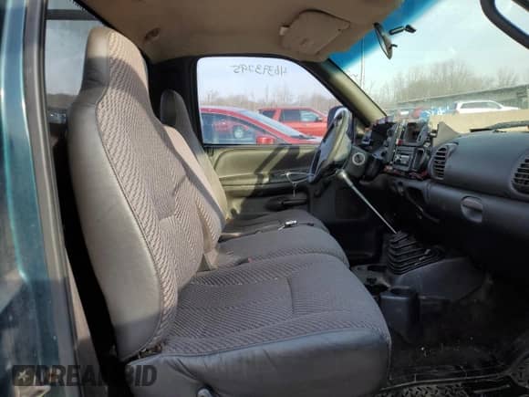 1999 Dodge 1500 with VIN 1B7HC16X5XS190087, listed as a Copart auction lot 46393795 with 174,178 mi miles and Salvage title. Bid and sale history available at DreamBid. Image 10.