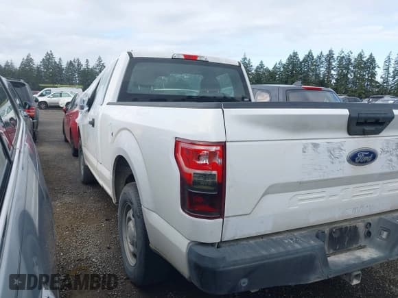 ✅ 2019 Ford F-150 XL • VIN: 1FTMF1CB7KKD57301 • Lot: 41911127. Listed on IAAI with 80,928 mi. Free auction sales archive from the USA and detailed vehicle history report at DreamBid. Image 3.