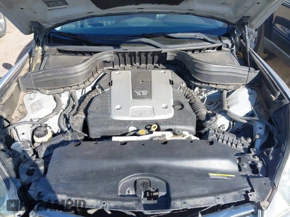 ✅ 2008 Infiniti EX Journey • VIN: JNKAJ09F88M351489 • Лот: 42511473. Опубликован ранее на IAAI с пробегом 211 125 миль. Бесплатный доступ к архиву аукционных продаж из США и подробный отчёт об истории автомобиля на DreamBid. Изображение 10.