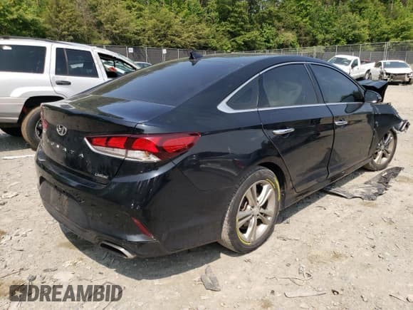✅ 2019 Hyundai Sonata SEL • VIN: 5NPE34AF9KH769934 • Lot: 53300243. Listed on Copart with 48,805 mi. Free auction sales archive from the USA and detailed vehicle history report at DreamBid. Image 3.