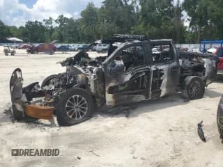 ✅ 2020 Ford F-150 • VIN: 1FTEW1P49LKD52702 • Lot: 67199045. Wystawiony na Copart z przebiegiem Nie podano. Bezpłatny archiwum sprzedaży aukcyjnych z USA i szczegółowy raport historii pojazdu na DreamBid. Zdjęcie 1.