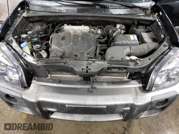 2009 Hyundai Tucson SE with VIN KM8JN12D79U114445, listed as a Copart auction lot 76508704 with 162,112 mi miles and Salvage title. Bid and sale history available at DreamBid. Image 12.