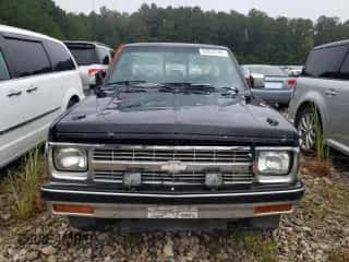 1991 Chevrolet S-10 z VIN 1GCCS14R3M8173900, wystawiony jako Copart lot #72972744 z przebiegiem 329 360 mil mil oraz Szkoda całkowita • Salvage title. Historia ofert i sprzedaży dostępna na DreamBid. Obrazek 5.