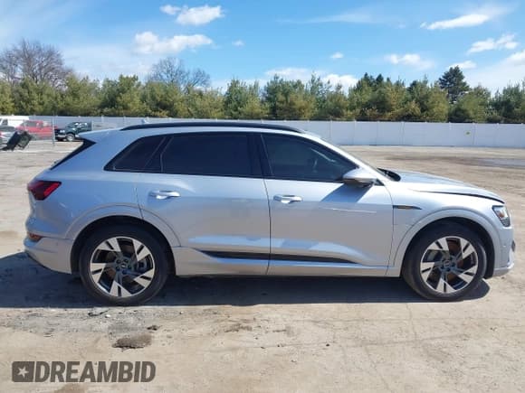 ✅ 2022 Audi e-tron Premium • VIN: WA1AAAGEXNB047650 • Lot: 41782598. Listed on IAAI with 45,906 mi. Free auction sales archive from the USA and detailed vehicle history report at DreamBid. Image 13.