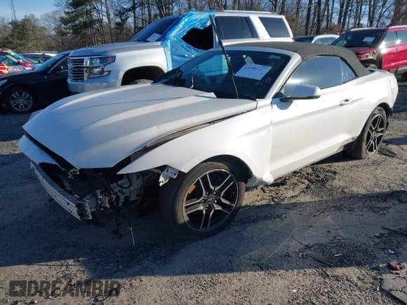 ✅ 2017 Ford Mustang EcoBoost Premium • VIN: 1FATP8UH9H5204503 • Lot: 41580389. Wystawiony na IAAI z przebiegiem Nie podano. Bezpłatny archiwum sprzedaży aukcyjnych z USA i szczegółowy raport historii pojazdu na DreamBid. Zdjęcie 2.