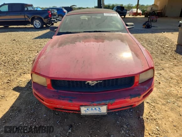 ✅ 2007 Ford Mustang Deluxe • VIN: 1ZVFT84N375330618 • Lot: 82506165. Wystawiony na Copart z przebiegiem 218 655 mil. Bezpłatny archiwum sprzedaży aukcyjnych z USA i szczegółowy raport historii pojazdu na DreamBid. Zdjęcie 5.