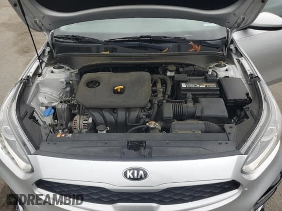 ✅ 2019 Kia Forte LXS • VIN: 3KPF24AD1KE135804 • Лот: 90061135. Опубликован ранее на Copart с пробегом 67 645 миль. Бесплатный доступ к архиву аукционных продаж из США и подробный отчёт об истории автомобиля на DreamBid. Изображение 11.