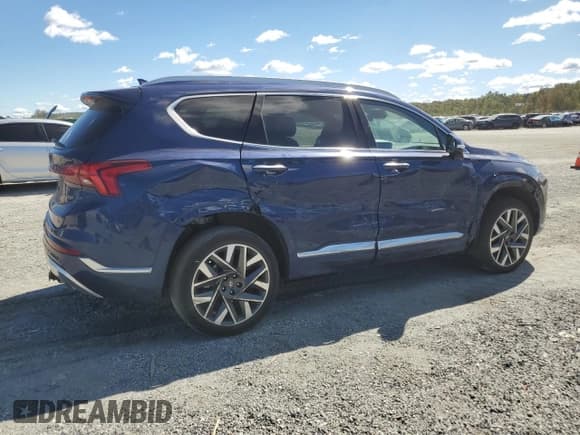 ✅ 2023 Hyundai Santa Fe Calligraphy • VIN: 5NMS5DAL9PH490779 • Lot: 85509135. Listed on Copart with 27,800 mi. Free auction sales archive from the USA and detailed vehicle history report at DreamBid. Image 3.