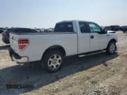 ✅ 2009 Ford F-150 XLT • VIN: 1FTRX12VX9FA97719 • Lot: 81411155. Wystawiony na Copart z przebiegiem 130 553 mil. Bezpłatny archiwum sprzedaży aukcyjnych z USA i szczegółowy raport historii pojazdu na DreamBid. Zdjęcie 3.