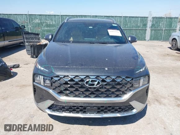 ✅ 2023 Hyundai Santa Fe Calligraphy • VIN: 5NMS54AL9PH627476 • Lot: 41857518. Listed on IAAI with 39,862 mi. Free auction sales archive from the USA and detailed vehicle history report at DreamBid. Image 13.