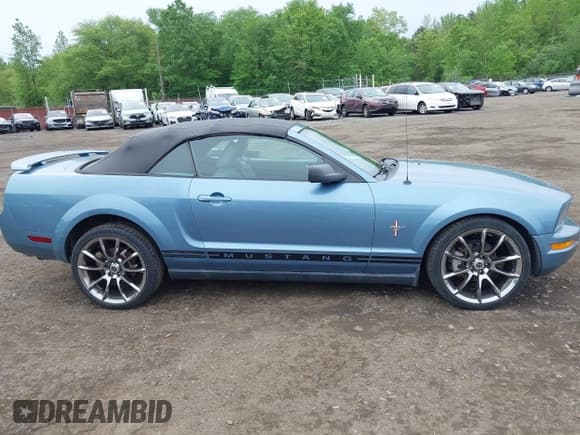 ✅ 2006 Ford Mustang Standard • VIN: 1ZVHT84N765220050 • Lot: 42231993. Listed on IAAI with 123,880 mi. Free auction sales archive from the USA and detailed vehicle history report at DreamBid. Image 17.