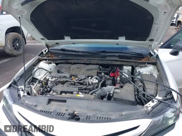 2022 Toyota Camry SE z VIN 4T1T11AK3NU066747, wystawiony jako IAAI lot #42347249 z przebiegiem 112 765 mil mil oraz . Historia ofert i sprzedaży dostępna na DreamBid. Obrazek 10.